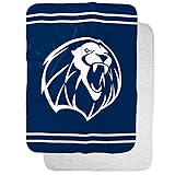 University of Arkansas Fort Smith Lions Primary