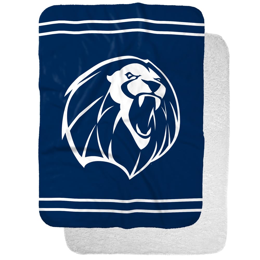 University of Arkansas Fort Smith Lions Primary