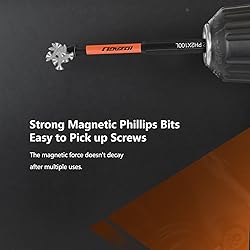 LOZAGU 12-Piece Phillips Bits #2 Impact