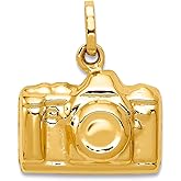 JewelryWeb 14k Yellow Gold Hollow Polished Camera Charm 17.1x14.1mm Pendant Necklace for Women