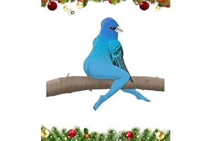 2026 Assorted Birds Calendar, A Christmas Fun Birds Wall Calendar, 8.26" X 16.5" with Durable Thick Paper, Perfect for Home a