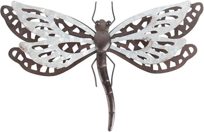HONGLAND Metal Dragonfly Wall Decor Rust Color Art Sculpture Hanging Glass Farmhouse Decorations for Outdoor Indoor Home Garden Bedroom