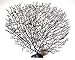 Lesypet Silicone Sea Anemone Aquarium Artificial Ornaments,Black