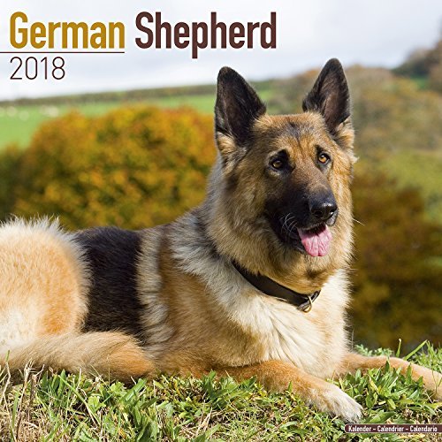 German Shepherd Calendar 2018 - Dog Breed Calendar - Premium Wall Calendar 2017-2018