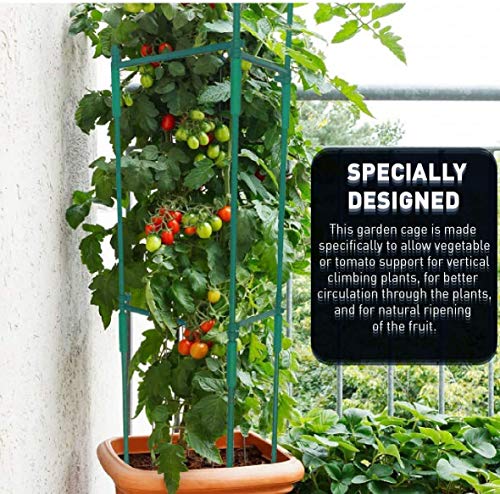 Plant Support, Sturdy Plant Support Poles, Tomato Plant Cage, Climbing Vegtables, Flowers, Fruit Grow Cage (Three Groups)