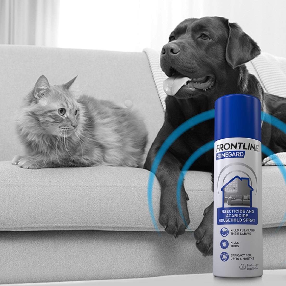 FRONTLINE HomeGard Flea & Tick Household Spray - 500 ml, White, 500 ml (Pack of 1) - Image 4