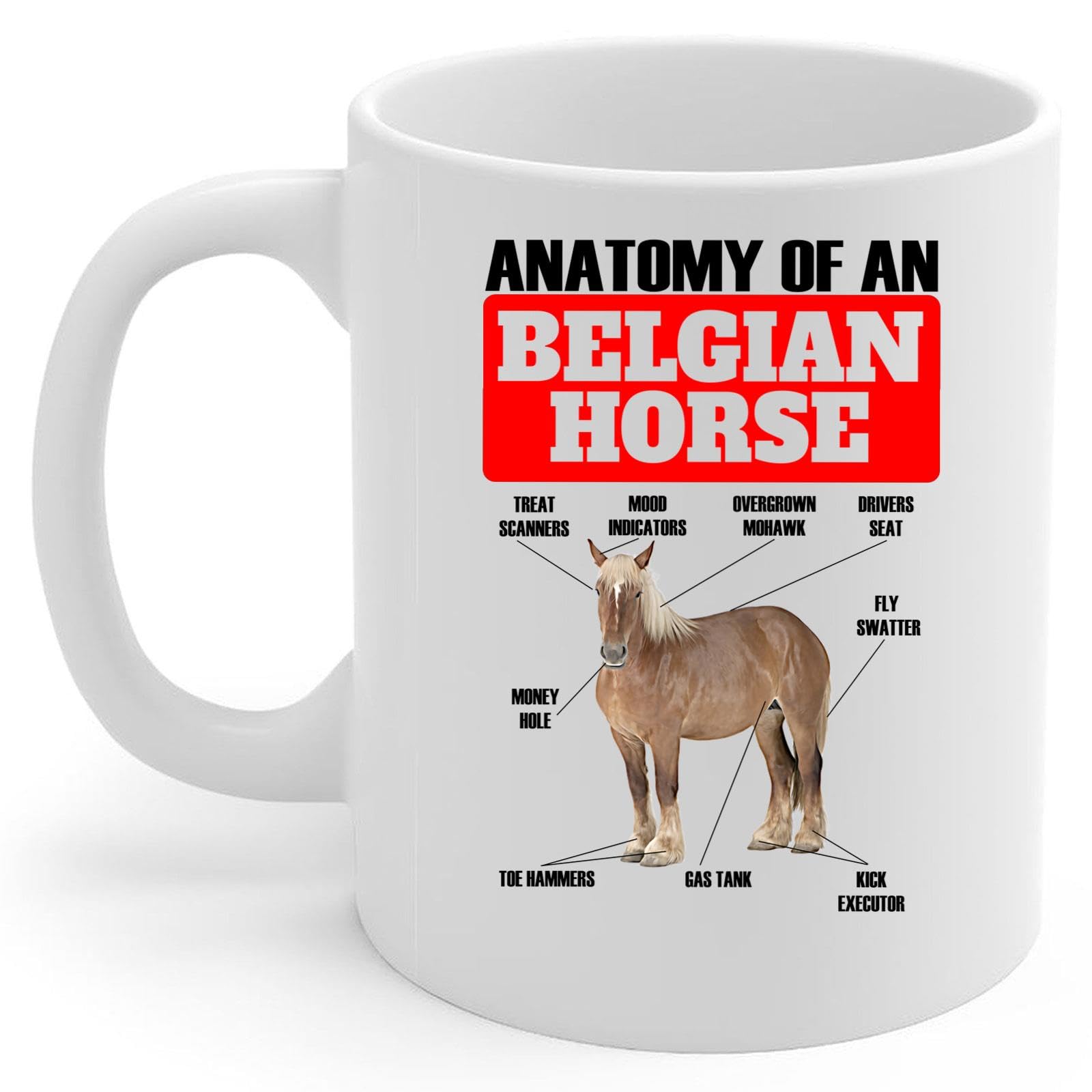 Lovesout Funny Chestnut Belgian Horse Anatomy Chart