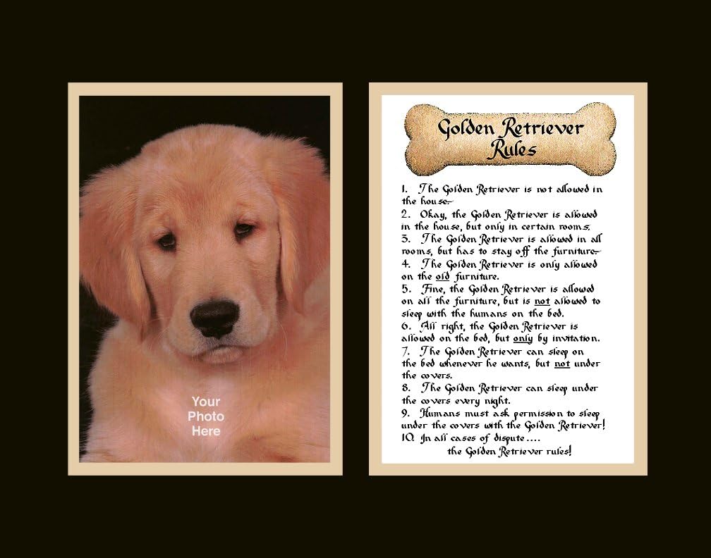 Golden Retriever Dog Rules Wall Decor Pet Saying