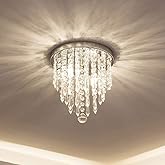 lifeholder Mini Chandelier, Crystal Chandelier Lighting, 2 Lights, Flush Mount Ceiling Light, H10.4'' x W8.66'' Modern Chande