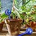 GARDENING SOLUTIONS Hydro Globes Automatic Watering Bulbs (2)