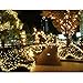LE 100 LED Solar String Lights, 49ft/15m Waterproof, Fairy Lights for Christmas Garden Party Patio Outdoor Decoration (Warm White - 100 LED)