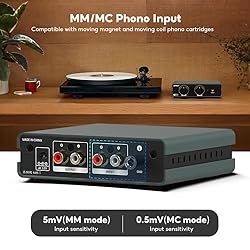 AIYIMA T3 PRO MM/MC Phono Preamp RIAA Equalization