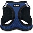 Voyager Step-In Plush Dog Harness – Soft Plush, Step In Vest Harness for Small and Medium Dogs by Best Pet Supplies - Harness (Royal Blue Faux Leather), S (Chest: 14.5 - 16")