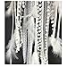 Dremisland Dream catcher Handmade Traditional White Feather Wall Hanging Car Hanging Home Decoration Ornament Decor Ornament Craft Gift (White Feather)