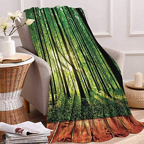 Miki Da Throw Blankets for Bed Couch Decorative Soft Chair Cover, 70"x93", Green Brown, Forest Trees Forest Picture from Indoor Sunlight as Background Wooden Floor Decorative Art