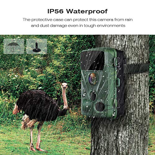 5 TOGUARD+Detection+Activated+Waterproof+Wildlife
