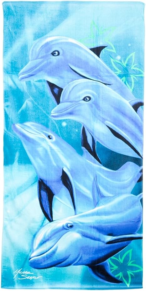 dolphins gear amazon