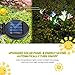 Solar Lights Outdoor - （3 Pack）Outdoor Solar Garden Stake Lights with 12 Lily Flower,Multi-Color Changing Solar Flower Lights for Garden/Patio/Yard Decoration
