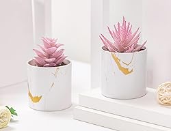 Der Rose Set of 2 Succulents Plants Artificial Mini
