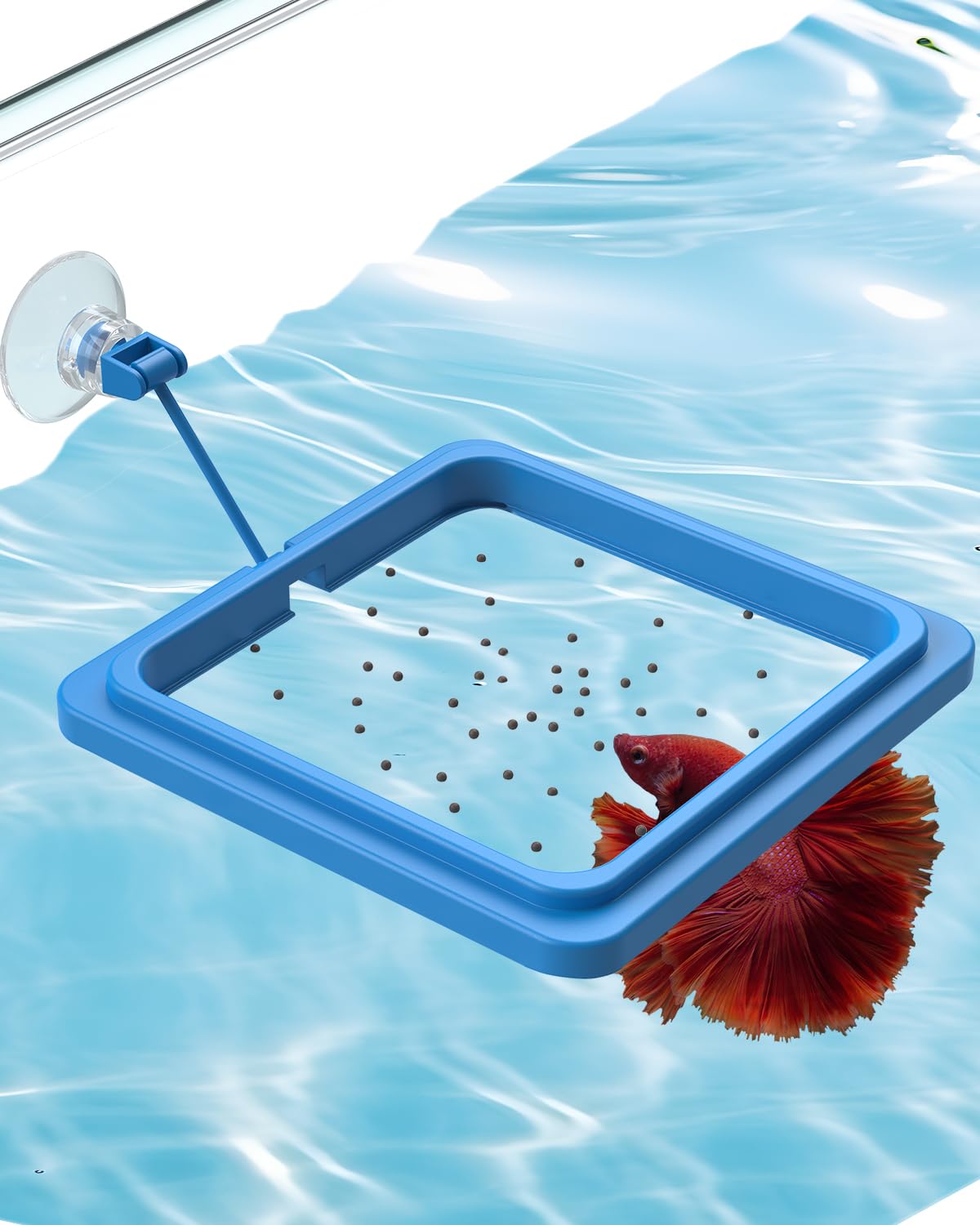 Photo 1 of Pawfly Fish Feeding Ring for Fish Tank Aquarium Feeding Ring with Suction Cup Square Floating Food Feeder Small Feeder Circle for Betta Goldfish Guppy & Turtle