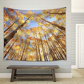 Aspen Trees with Fall Color, San Juan National Forest, Colorado, USA - Fabric Wall Tapestry Home Decor - 51x60 inches