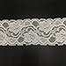 ELLAMAMA Elastic Lace Trim Soft Stretch DIY Craft Delicate Ribbon Vintage Flora Pattern 2-1/8 Inch Wide 10yds White for Wedding Decorations Headbands Garters Gift Wrapping Ribbon Tape
