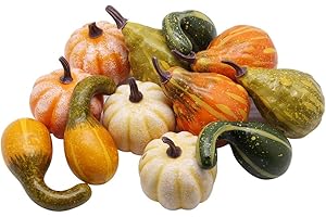 yofit 12 Pcs Thanksgiving Decorations Artificial Pumpkins, Fake Mini Pumpkins, Lifelike Simulation Foam Pumpkins Sets, Fall Decorations for Home Kitchen Table Indoor Outdoor Friendsgiving (Colour)