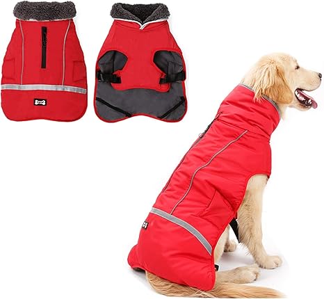 Doglay Reflective Dog Winter Coat 