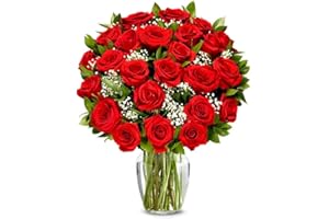 DELIVERY BY 12/24 GUARANTEED From You Flowers - Two Dozen Long Stemmed Red Roses with Glass Vase | Fresh Flower Bouquets for Birthday, Anniversary, Get Well or Celebration