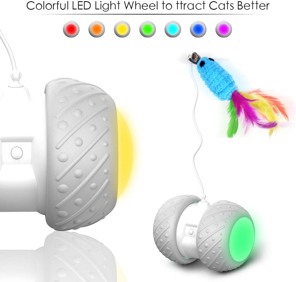 k-berho Cat Toys Interactive, Cat Toys for Indoor with Feather, Ball, Mouse and 2 Color Ribbons, Automatic Cat Toy with Irregular USB Charging 360 Degree Self Rotating Ball : Pet Supplies