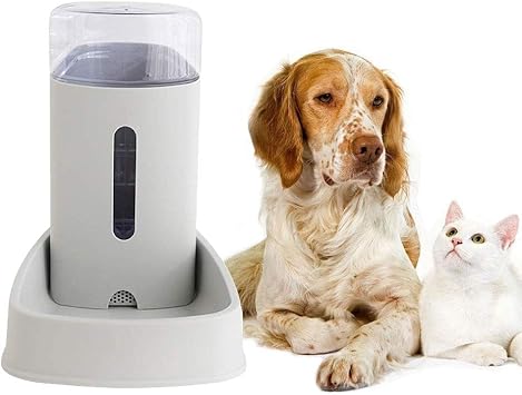 large automatic dog water bowl