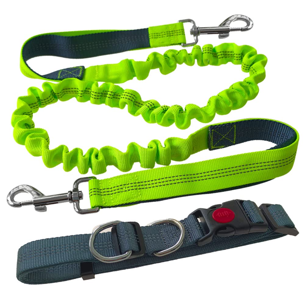 Aiqeer Hands Free Dog Leash, Grey Adjustable Waist Belt and Green Retractable Bungee Leash, Jogging Dog Leash with Reflective Stitching