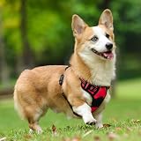 rabbitgoo Dog Harness Medium No Pull Adjustable Reflective Red M view 9