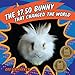 The $7.50 Bunny That Changed The World by Gretta Parker
