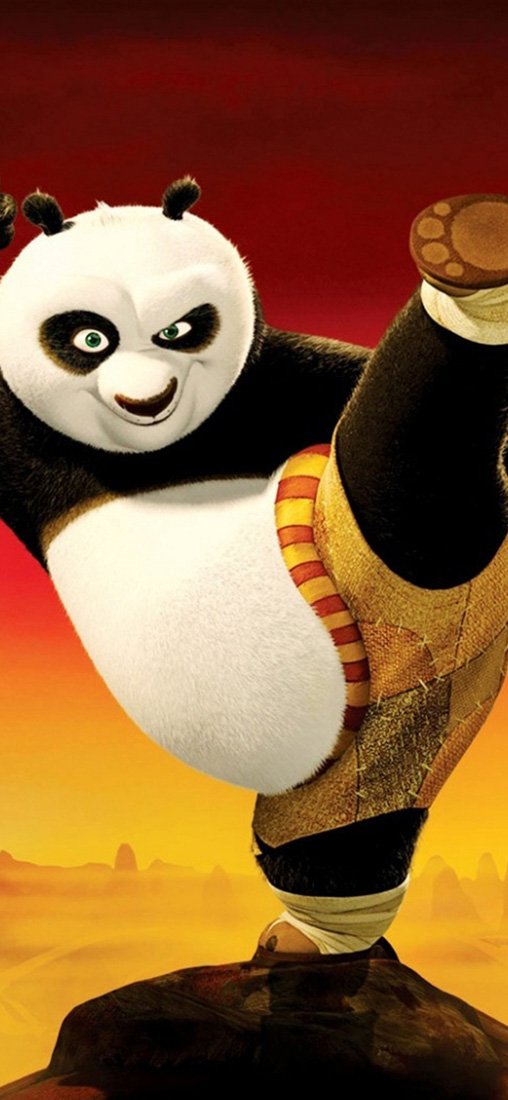 PeelitStickit Kung Fu Panda 2 Copy, vinyl