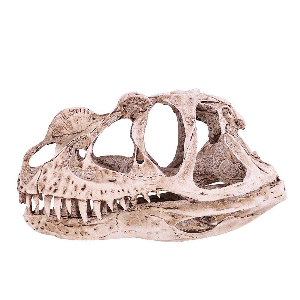 Rockyin Dinosaur Skull Model Resin Dinosaur Skull Model Simulated Animal Skeleton Home Office Decor Craft Teaching Prop Home Ornament