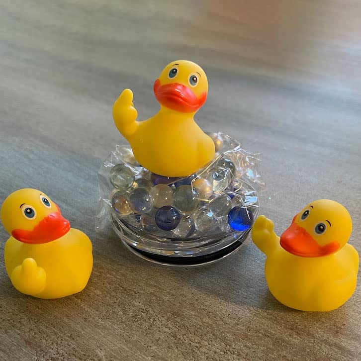 YOSIDI Rubber Duck,Rubber Duck The Finger, Bath Duck,Finger Duck, Car ...