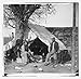 Slave Narratives Arkansas Vol 4 (Arkansas Slave Narratives)