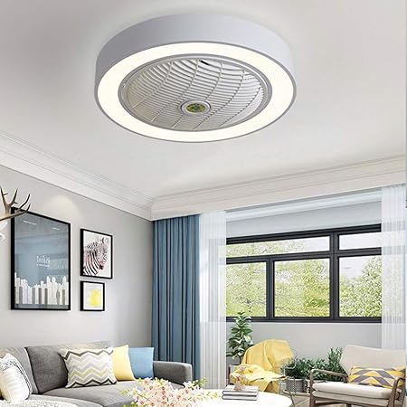 Jinweite Ceiling Fan with Light