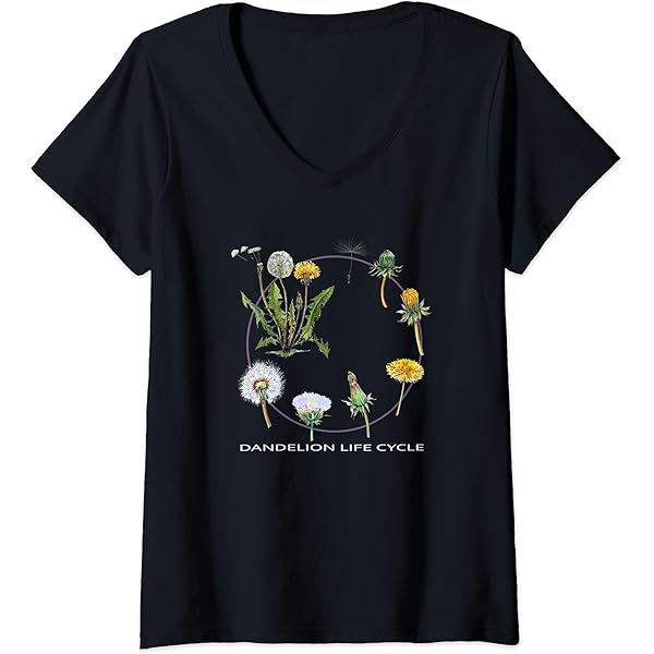 No. 1 Fire Dept, Firefighter Emblem Women's T-shirt, HOOD_00657