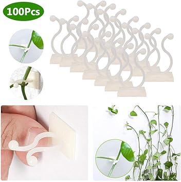 Amazon.com : Self-Adhesive Plant Climbing Wall Fixture Clips, 100pcs