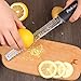 Cheese Grater & Zester, Stainless Steel Blade + Protective Cover - Cheese, Lemon, Chocolate & Vegetables Grater, Simi-Soft,Ergonomically Designed Handle for Comfort (black)