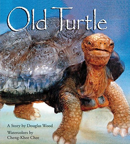 Old Turtle And The Broken Truth New Edition Wood Douglas Chee Cheng Khee Amazon Com Au Books
