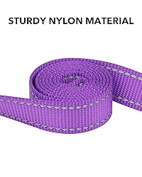 Taglory Dog Leash for Small Dogs, Double-Sided