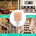 ANTEQI Natural Household Salt Lamp Himalayan Amber Glow Night Light [ Air Purifier, UL Wall Plug, 10.58 OZ ] Night Lamp for Home Office Bedroom Gift (Round Mini Lamp)