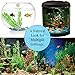 SunGrow Plastic Aquarium Plant Set, 10-inches High, Vibrant Green, Life-Like Attractive Decor, No Maintenance, Artificial Plant Hide Tubes, for Experienced and Starter Aquarists, 3-Piecesthumb 3