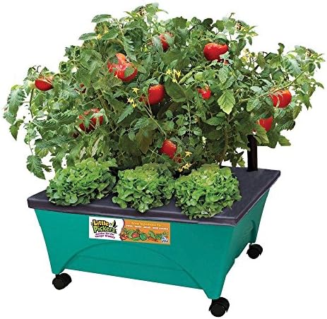 24-1/2 in. x 20-1/8 in. Patio Garden Kit with Watering System and Casters, Kid-Themed