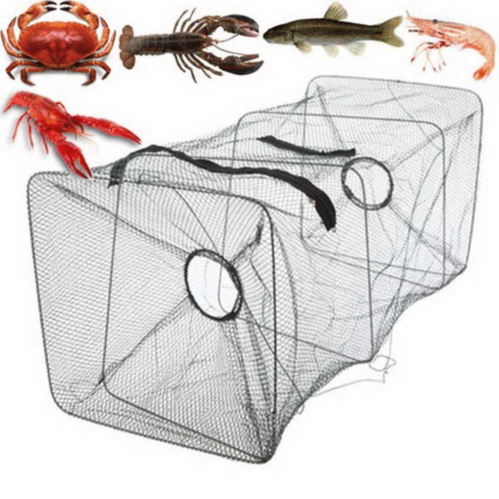 Buy Hunpta Crayfish Trap Fishing Live Bait Catching Net,Fish Trap Net