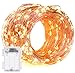 LED String Lights,DecorNova 19.7ft 60 LEDs Copper Wire String Lights IP44 Waterproof with Timer and 3AA Battery Case, Warm White (Set of 1)