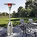 Dayno-Glo Dyna-Glo DGPH202SS Premium Stainless Steel Propane Patio Heater - 48,000 BTU